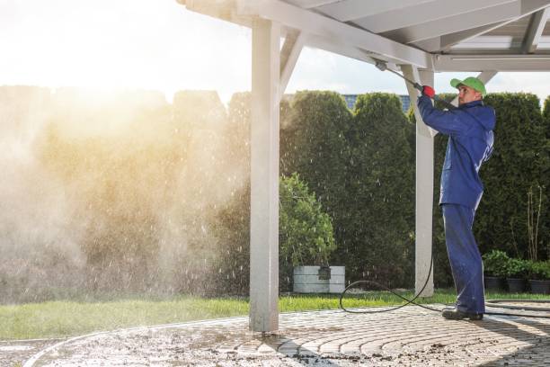 Best Gutter Cleaning and Brightening in Bellevle, IL