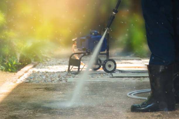 Best Roof Cleaning and Mildew Removal in Bellevle, IL
